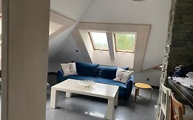 Apartamenty Stara Polana